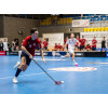 Rytíři mají nového kouče i talent ze Švédska, loučí se dvě výrazná jména