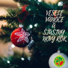 VESELÉ VÁNOCE A ŠŤASTNÝ NOVÝ ROK!