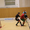 Guliverovic cesta za body