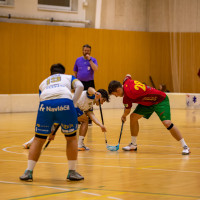 FbK Horní Suchá vs Zlín Lions 4:15 (18. kolo)