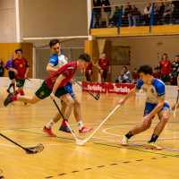 FbK Horní Suchá vs Zlín Lions 4:15 (18. kolo)