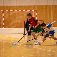 FbK Horní Suchá vs Zlín Lions 4:15 (18. kolo)