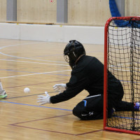 Junioři- 16. 11. 2025 - Warriors Nový Jičín, Z.F.K. Petrovice