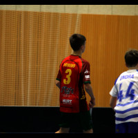 Dorostenci - 11.1.2026