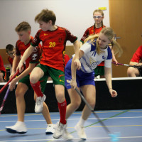 Dorostenci - 11.1.2026