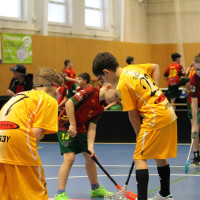 7.3.2026 | ELEVOVÉ | vs. FBC TIGERS PORUBA, FBC KOVO KM Frýdek-Místek, FBC Coyotes Jablunkov, SC NATIOS Vítkovice