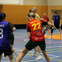 14.2.2026 | ŽENY A | vs. Sklo Bohemia Světlá n/S