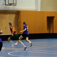 14.2.2026 | ŽENY A | vs. Sklo Bohemia Světlá n/S