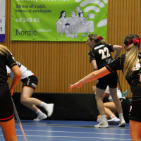 15.3.2026 | ŽENY A | vs. Sokol Brno EMCOCase