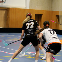 15.3.2026 | ŽENY A | vs. Sokol Brno EMCOCase