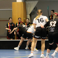 15.3.2026 | ŽENY A | vs. Sokol Brno EMCOCase