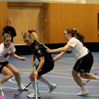 15.3.2026 | ŽENY A | vs. Sokol Brno EMCOCase