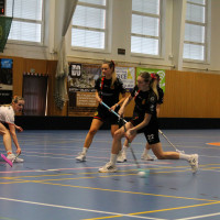 15.3.2026 | ŽENY A | vs. Sokol Brno EMCOCase