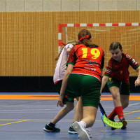 15.3.2026 | ŽENY A | vs. Sokol Brno EMCOCase