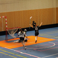 15.3.2026 | ŽENY A | vs. Sokol Brno EMCOCase