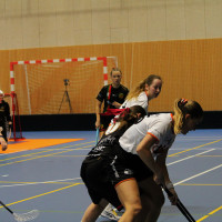 15.3.2026 | ŽENY A | vs. Sokol Brno EMCOCase