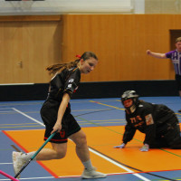 24.1.2026 | ŽENY A | vs. Florbal Hradec Králové