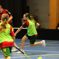 24.1.2026 | ŽENY A | vs. Florbal Hradec Králové