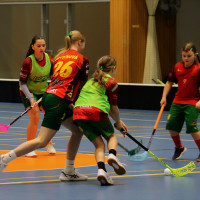 24.1.2026 | ŽENY A | vs. Florbal Hradec Králové