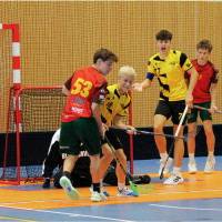 26.9.2026 | DOROSTENCI | vs. MVIL Ostrava, FBK Sršni Rožnov p/R