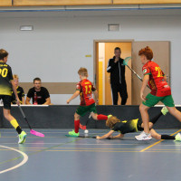 11.10.2026 | MLADŠÍ ŽÁCI | vs. PASKOV SAURIANS, Salibandy Club Ostrava, Torpedo Havířov, FBC TIGERS PORUBA