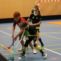 11.10.2026 | MLADŠÍ ŽÁCI | vs. PASKOV SAURIANS, Salibandy Club Ostrava, Torpedo Havířov, FBC TIGERS PORUBA