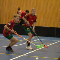 11.10.2026 | MLADŠÍ ŽÁCI | vs. PASKOV SAURIANS, Salibandy Club Ostrava, Torpedo Havířov, FBC TIGERS PORUBA