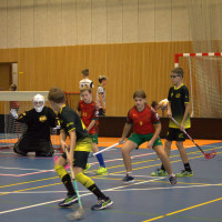 11.10.2026 | MLADŠÍ ŽÁCI | vs. PASKOV SAURIANS, Salibandy Club Ostrava, Torpedo Havířov, FBC TIGERS PORUBA