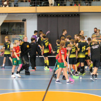 11.10.2026 | MLADŠÍ ŽÁCI | vs. PASKOV SAURIANS, Salibandy Club Ostrava, Torpedo Havířov, FBC TIGERS PORUBA