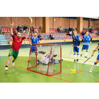 Horní Suchá postupuje do Národní ligy. Třebíč zdolala 3:1 na zápasy