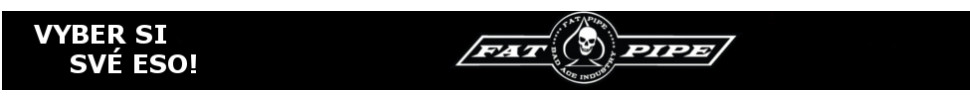 FatPipe